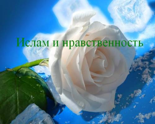 нравственность в исламе 